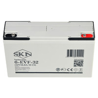 Аккумулятор SKN 6-EVF-32 (12V34.6A/H C5)