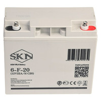Аккумулятор SKN 6-F-20 (12V20A/H C20)