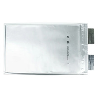 Аккумулятор LFP CALB 3,2V 20Ah Pouch battery